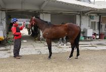 ��Ʋ���� (ATLAS TWO) ����