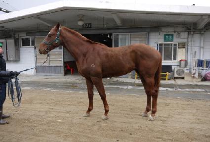 ����ž ����