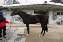 ���ۺ��� (SUPER BOSS) ����