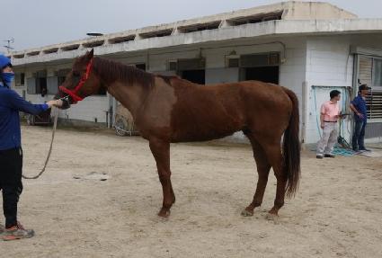 �����ູ ����