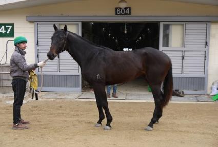 �򸶿�ƾ ����