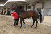 �����ǰ��� (DAEHANUI GANGJA) ����