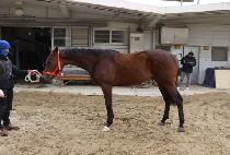 õ�⸸�� (CHEONNYEONMANNYEON) ����