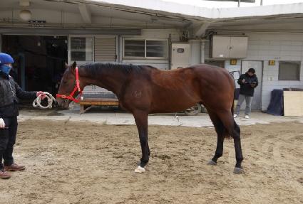 õ�⸸�� ����