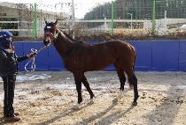 �����ǿ� (JINGYEOGUI WANG) ����