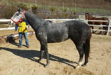 �ް�����̵� ����