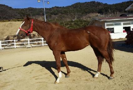 ȣ�� ����