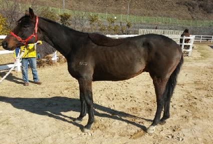 ����ŷ ����