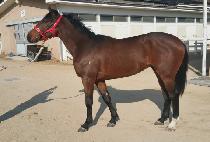 ����Ʈ (EMETH) ����