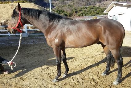 õ����ǳ�� ����