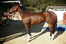 ĸƾ���� (CAPTAINIJI) ����