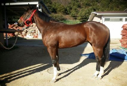 ĸƾ���� ����