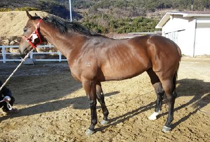 �����Ÿ�� ����