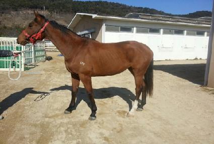 ��ȭ�� ����