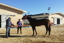 ����Ʈ���� (SWEET MYEONGUN) ����