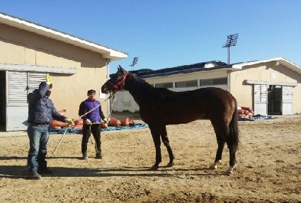 ����Ʈ���� ����