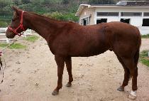 ���� (HAENGUN MANNAM) ����