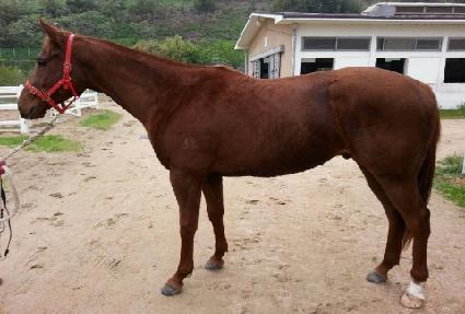 ���� ����