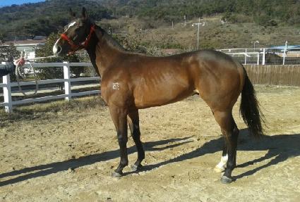 ��ǳ���� ����