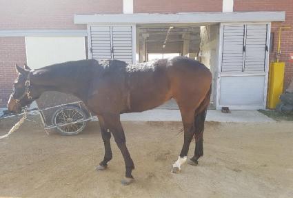 �¹�� ����