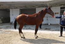 ������ǰ (GUKJE MYEONGPUM) ����