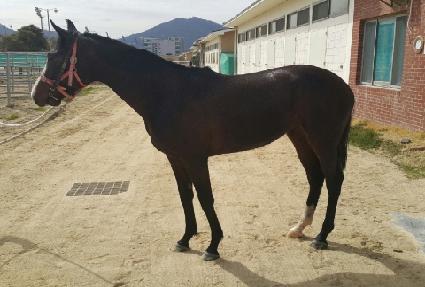 ���������� ����