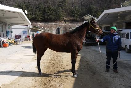 ��°��� ����