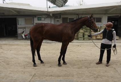 �����Ӹ��� ����