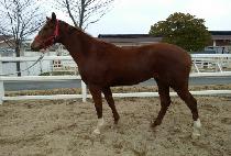 �����罺ī�� (DEEP BLUE SKY) ����