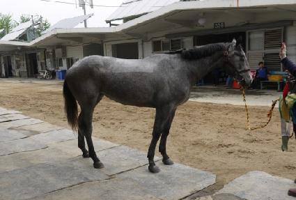 ������Ƽ�ø� ����