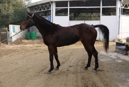 �ڱ� ����