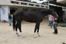 �����ŷ�Ʈ (SUPER TALENT) ����