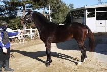 ����Ʈ (GHOST) ����