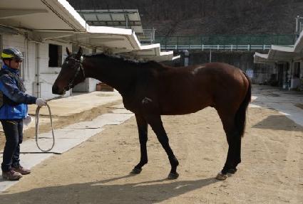 ���������� ����