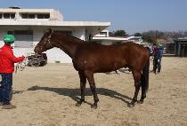 �����ǰ��� (JINGYEOGUI GEOJANG) ����