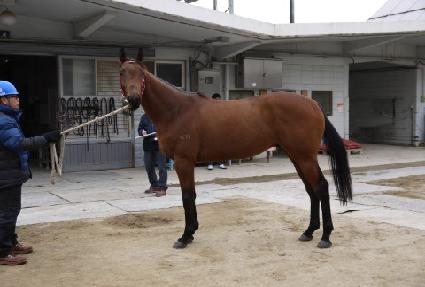 �������� ����