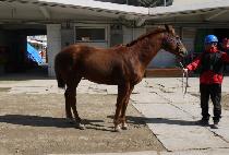 ��ų (ALL KILL) ����