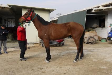 ��巡�� ����