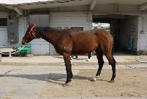 �������� (SEONGEUN GANGJA) ����