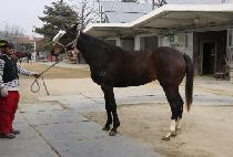 ������ (THE KAY) ����