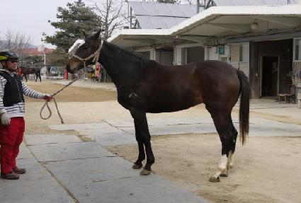 ������ ����