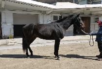 ���ڿ��� (SEUNGJA YECHAN) ����