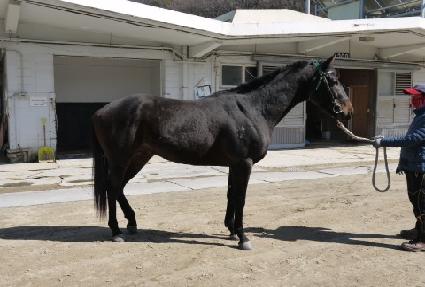 ���ڿ��� ����