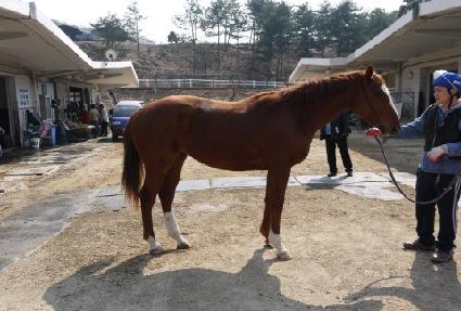 ���Ͻ�ȭ ����