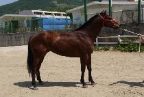 ������å (GUREUM SANCHAEK) ����