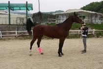 �߸��ô� (YAMANG SIDAE) ����