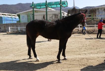 ��ö���� ����