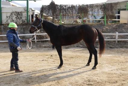 �����޻� ����