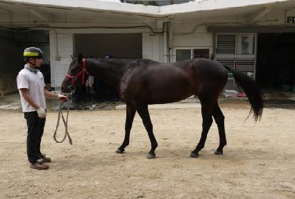 ������Ʈ�� ����