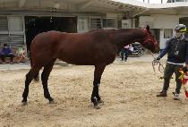 ���簥���� (FRUGAL GAME) ����